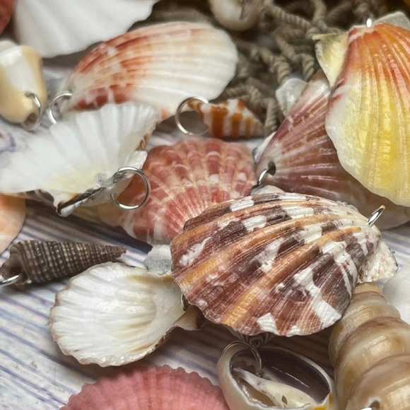 15 REAL SEASHELLS CHARMS PENDANTS w 15 JUMP RINGS FOR CRAFTING & JEWELRY MAKING - Picture 12 of 13